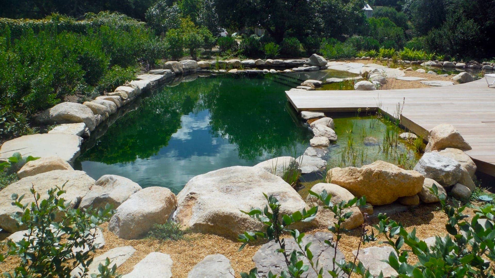 natural swimming pool