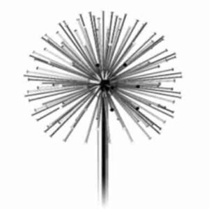 Fountain dandelion nozzle