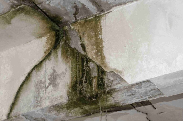 Waterproofing Services in Nigeria building damage2