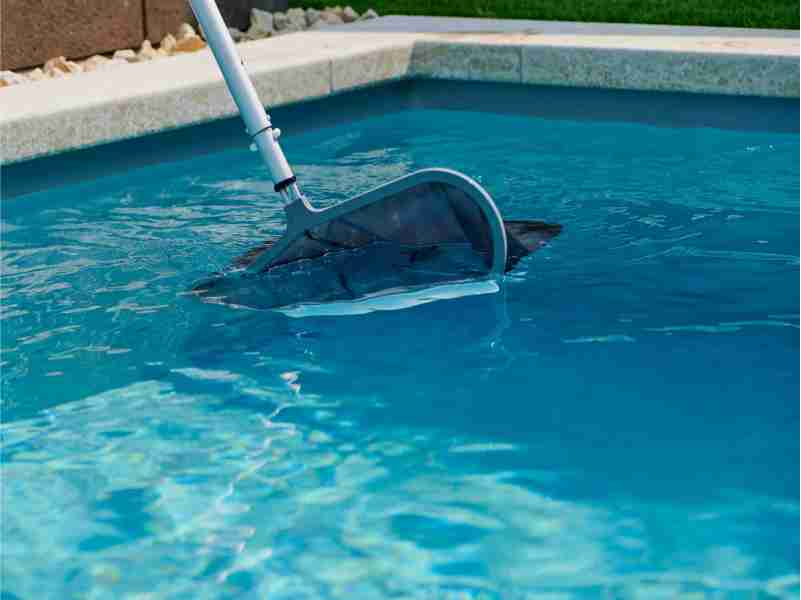 pool cleaning1